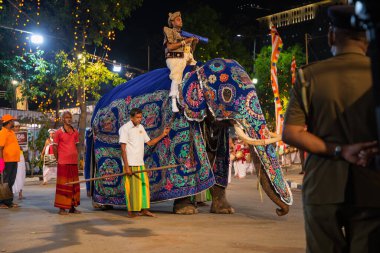 Colombo,Sri Lanka. 06 Şubat 2023. Ulusal kostümlü sanatçılar, tüylü filler ve dindar insanların Colombo 'daki görkemli bir geçit töreni.