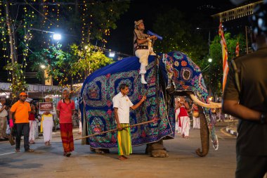 Colombo,Sri Lanka. 06 Şubat 2023. Ulusal kostümlü sanatçılar, tüylü filler ve dindar insanların Colombo 'daki görkemli bir geçit töreni.