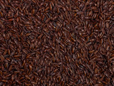 Pirzola tohumları (bitkisel lanceolata). Tohumlar parazit solucanların tedavisinde kullanılır. Toplu müshil görevi gören ve sinir bozucu zarları gevşeten bitki tohumları.