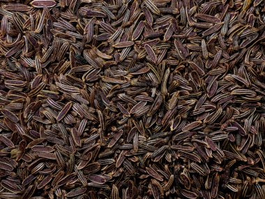 Ayrıntılı olarak Türkiye 'den kimyon imalatı ve kimyon imalatının üst görüntüsü çok yakından inceleniyor. İdeal yemek ve baharat kimyonları