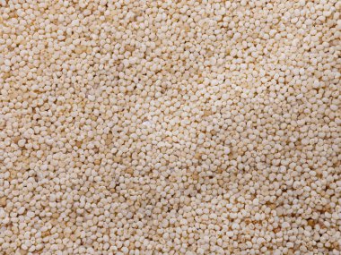 Yüksek büyüteçle detaylarda beyaz haşhaş tohumlarının üst görüntüsü ve makro çekim. İdeal yiyecek ve baharat tohumları.