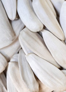 Türkiye 'den tuz getirilmiş uzun beyaz ayçiçeği tohumlarından oluşan süper makro çekim. Detaylı olarak. İdeal yemek ve baharat geçmişi