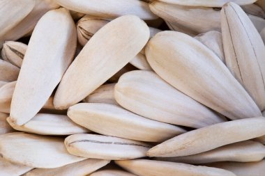 Türkiye 'den tuz getirilmiş uzun beyaz ayçiçeği tohumlarından oluşan süper makro çekim. Detaylı olarak. İdeal yemek ve baharat geçmişi