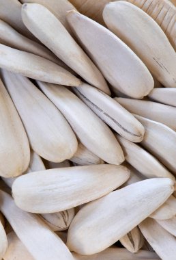 Türkiye 'den tuz getirilmiş uzun beyaz ayçiçeği tohumlarından oluşan süper makro çekim. Detaylı olarak. İdeal yemek ve baharat geçmişi