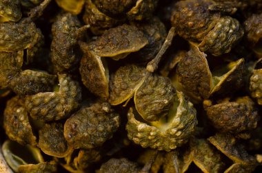 Süper makro çekim yemek arka planı. Birkaç yeşil Sichuan biberi çok yakındır. 