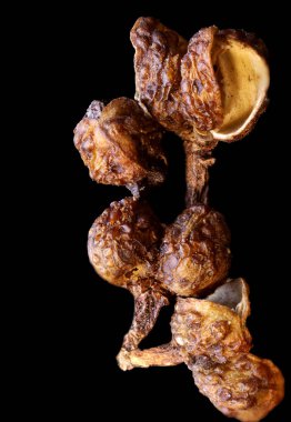 Süper makro, Endonezya ve yabani karabiber kabuğunun yemek arkaplanını çekti.