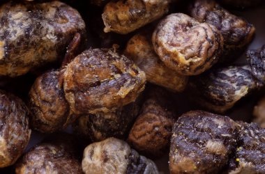 Süper makro yemek torbası vurdu.