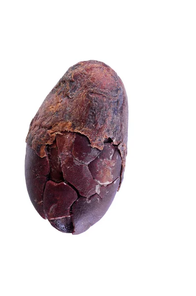 Super Macro Shot Aromatici Esotici Semi Cacao Amaro Dall Africa — Foto Stock