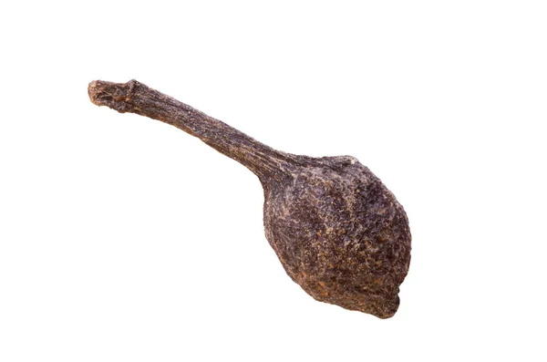 白い食品の背景に隔離されたマダガスカルの尾を持つ1匹のエンドウ豆のバーボンペッパーの超マクロショット Voatsiperiferyコショウ — ストック写真