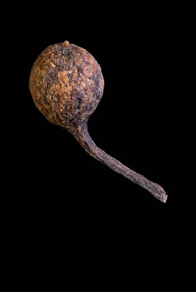 ブラックフードを背景にマダガスカル産の尾を持つエンドウ豆のバーボンペッパーの超マクロショット Voatsiperiferyコショウ — ストック写真