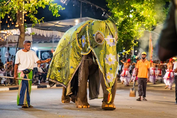 Colombo Sri Lanka Febfuary 2023 Large Carnival Procession Dressed Elephants — Stock Photo, Image