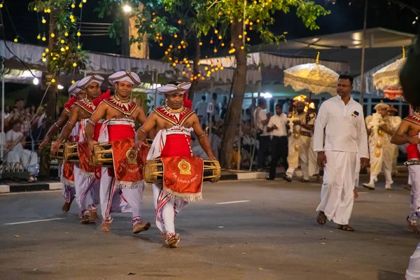 Коломбо Шрі Ланка Febfuary 2023 Велика Карнавальна Процесія Одягненими Слонами — стокове фото