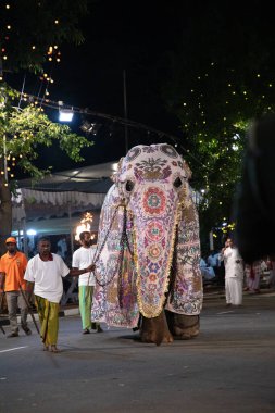 Colombo, Sri Lanka. 06 Şubat 2023. Ulusal kostümlü filler ve dansçıların katıldığı büyük bir karnaval geçidi.