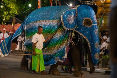 Colombo, Sri Lanka. 06 Şubat 2023. Ulusal kostümlü filler ve dansçıların katıldığı büyük bir karnaval geçidi.