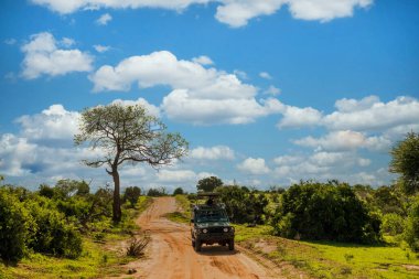 Tsavo,Kenya, 16.10.2019.