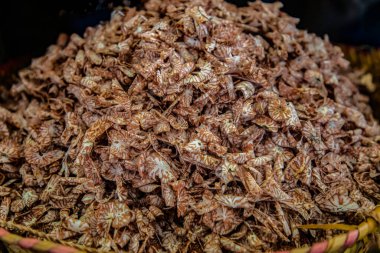 Afrika 'da supari dilimleri olarak da bilinen bir kasede Betel fındık cipsi, Paan masala' da kullanılır.