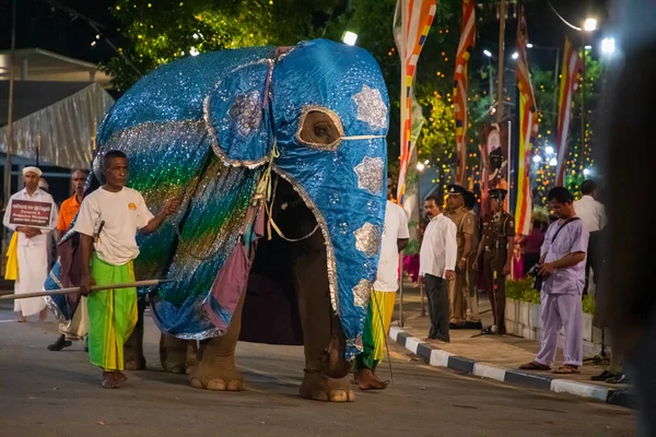 Colombo Sri Lanka Febfuary 2023 Large Carnival Procession Dressed Elephants — Stock Photo, Image