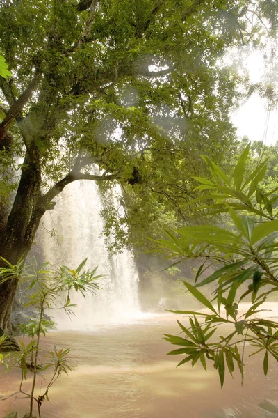 Green waterfall in the African jungle, very deep. Beautiful calm landscape in Kenya