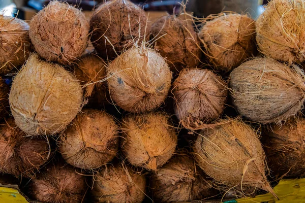 Macro photo of tropical fruit coconut. Texture hairy nuts coconut fruit. Coconuts in the shell. Coconut in the market