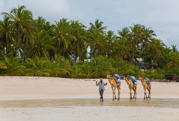 Playa Diani Mombasa Kenia Octubre 2019 Hermosa Zona Turística Con — Foto de Stock