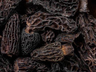 Süper makro kurutulmuş morel mantarları detaylı bir şekilde. İdeal gıda geçmişi