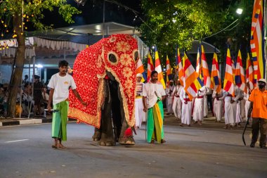Colombo, Sri Lanka. 06 Şubat 2023 Colombo sokaklarında filler ve dansçılarla dolu büyük bir karnaval aldır.
