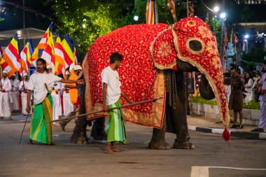 Colombo, Sri Lanka. 06 Şubat 2023 Colombo sokaklarında filler ve dansçılarla dolu büyük bir karnaval aldır.