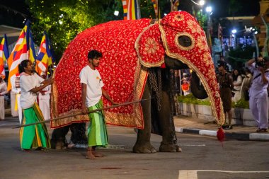 Colombo, Sri Lanka. 06 febfuary 2023. large carnival festive procession with elephants and dancers in bright national costumes through the streets of Colombo