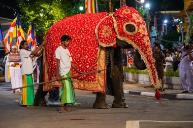 Colombo, Sri Lanka. 06 Şubat 2023 Colombo sokaklarında filler ve dansçılarla dolu büyük bir karnaval aldır.