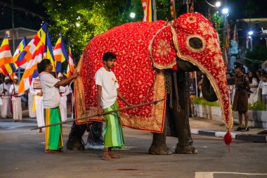 Colombo, Sri Lanka. 06 Şubat 2023 Colombo sokaklarında filler ve dansçılarla dolu büyük bir karnaval aldır.
