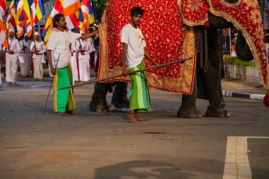 Colombo, Sri Lanka. 06 Şubat 2023 Colombo sokaklarında filler ve dansçılarla dolu büyük bir karnaval aldır.