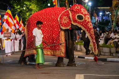 Colombo, Sri Lanka. 06 febfuary 2023. large carnival festive procession with elephants and dancers in bright national costumes through the streets of Colombo