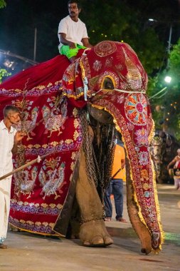 Colombo, Sri Lanka. 06 Şubat 2023 Colombo sokaklarında filler ve dansçılarla dolu büyük bir karnaval aldır.
