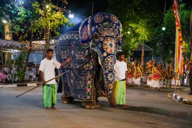 Colombo, Sri Lanka. 06 Şubat 2023 Colombo sokaklarında filler ve dansçılarla dolu büyük bir karnaval aldır.