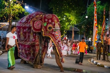 Colombo, Sri Lanka. 06 Şubat 2023 Colombo sokaklarında filler ve dansçılarla dolu büyük bir karnaval aldır.