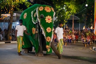 Colombo, Sri Lanka. 06 Şubat 2023 Colombo sokaklarında filler ve dansçılarla dolu büyük bir karnaval aldır.