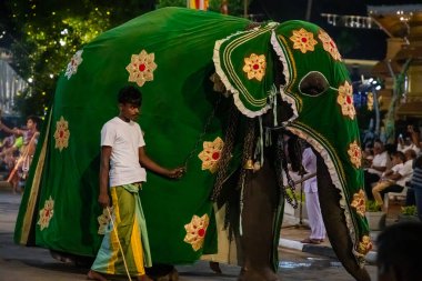 Colombo, Sri Lanka. 06 Şubat 2023 Colombo sokaklarında filler ve dansçılarla dolu büyük bir karnaval aldır.