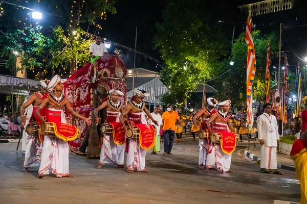 Colombo Sri Lanka Febfuary 2023 Large Carnival Festive Procession Elephants — Photo