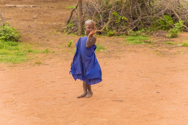 Diani Mombasa 10月2019 アフリカ ケニア 小さなアフリカのMaasaiの子供たちはカメラを見て友好的に見える — ストック写真