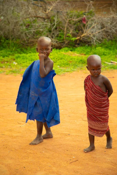 Kenia África Octubre 2019 Dos Niñas Africanas Tribu Masai Vestidas —  Fotos de Stock