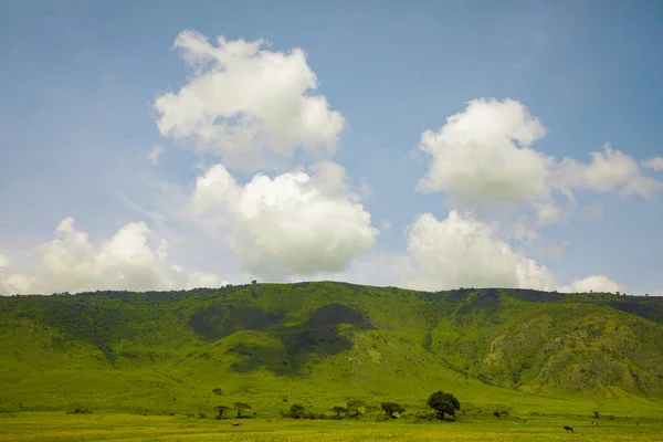 Hermoso Paisaje Africano Tanzania Con Árboles Montañas Parque Nacional Ngorongoro — Foto de Stock