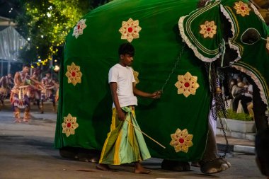 Colombo, Sri Lanka. 06 Şubat 2023 Colombo sokaklarında filler ve dansçılarla dolu büyük bir karnaval aldır.
