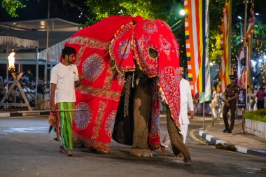 Colombo, Sri Lanka. 06 febfuary 2023. large carnival festive procession with elephants and dancers in bright national costumes through the streets of Colombo