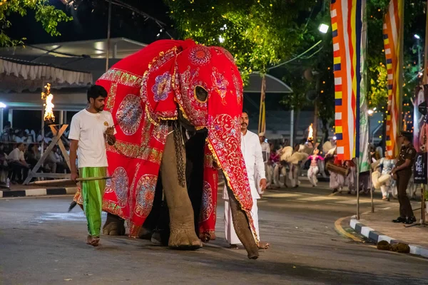 Colombo, Sri Lanka. 06 Şubat 2023 Colombo sokaklarında filler ve dansçılarla dolu büyük bir karnaval aldır.