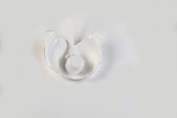 Collection Various Milk Splashes White Background — Stock Photo, Image