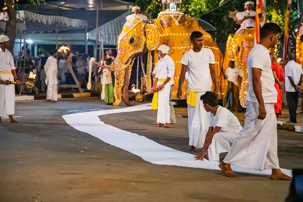 Colombo Srí Lanka Febfuary 2023 Nagy Karnevál Ünnepi Felvonulás Elefántokkal — Stock Fotó