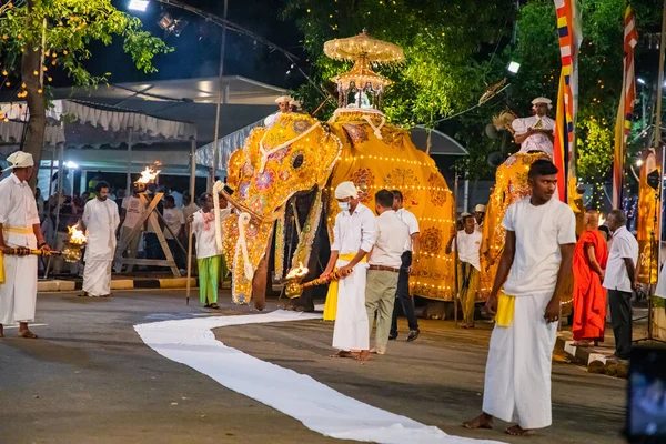 Colombo Sri Lanka Febfuary 2023 Large Carnival Festive Procession Elephants — Stockfoto