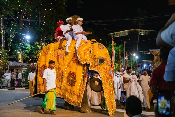 Colombo Sri Lanka Febfuary 2023 Large Carnival Festive Procession Elephants — Foto de Stock