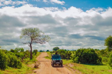 Kenya, Afrika 15 Ekim 2019. Ulusal parktaki vahşi hayvana doğru bir oyun safarisi. Araba yolda.
