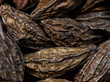 Terminalia chebula ya da chebulic myrobalan 'ın geçmişi. Miyrobalan ya da haritaki. Haritaki, Ayurvedic ilaç sisteminde çok iyi bir bitkisel ilaçtır. en üstteki görünüm